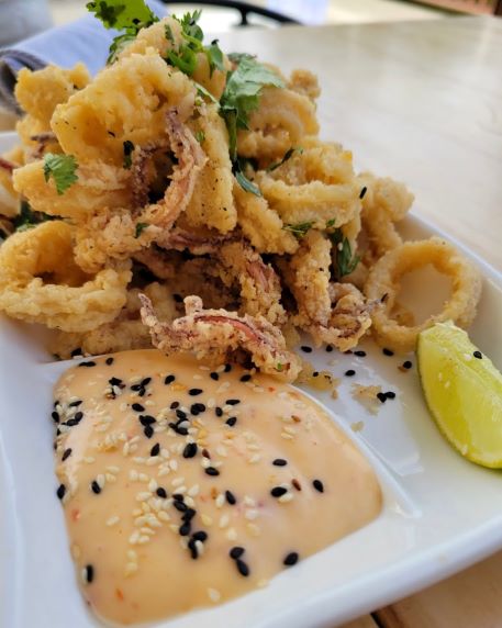 Seared restaurant fried calamari
