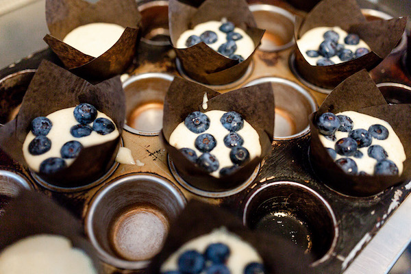 Avid Coffee blueberry muffins